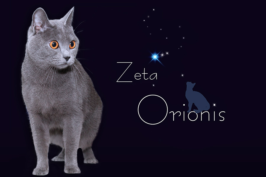 v. Zeta Orionis