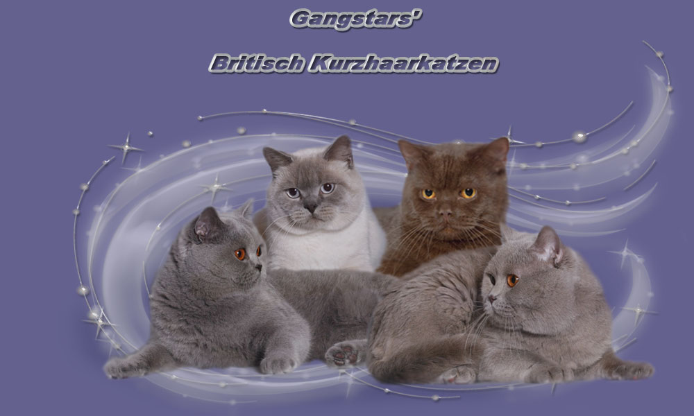 Gangstars